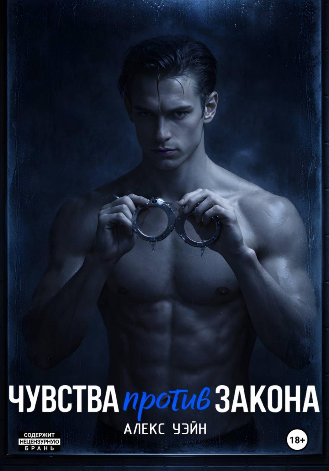 Обложка книги «Чувства против закона»