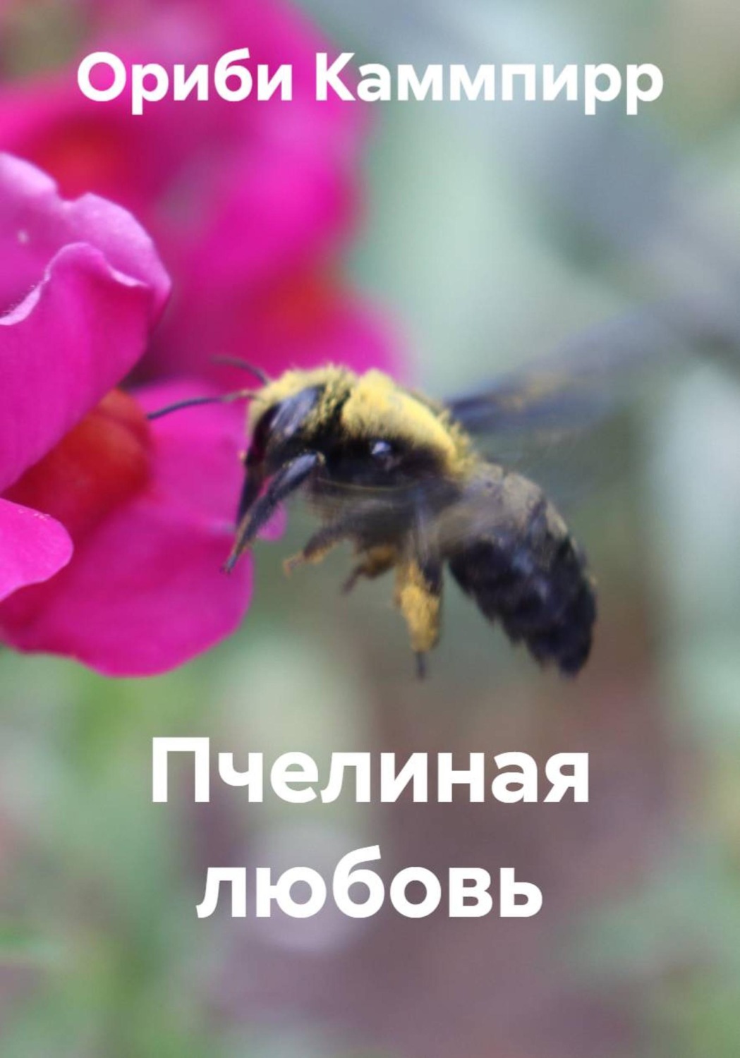 Обложка книги «Пчелиная любовь»