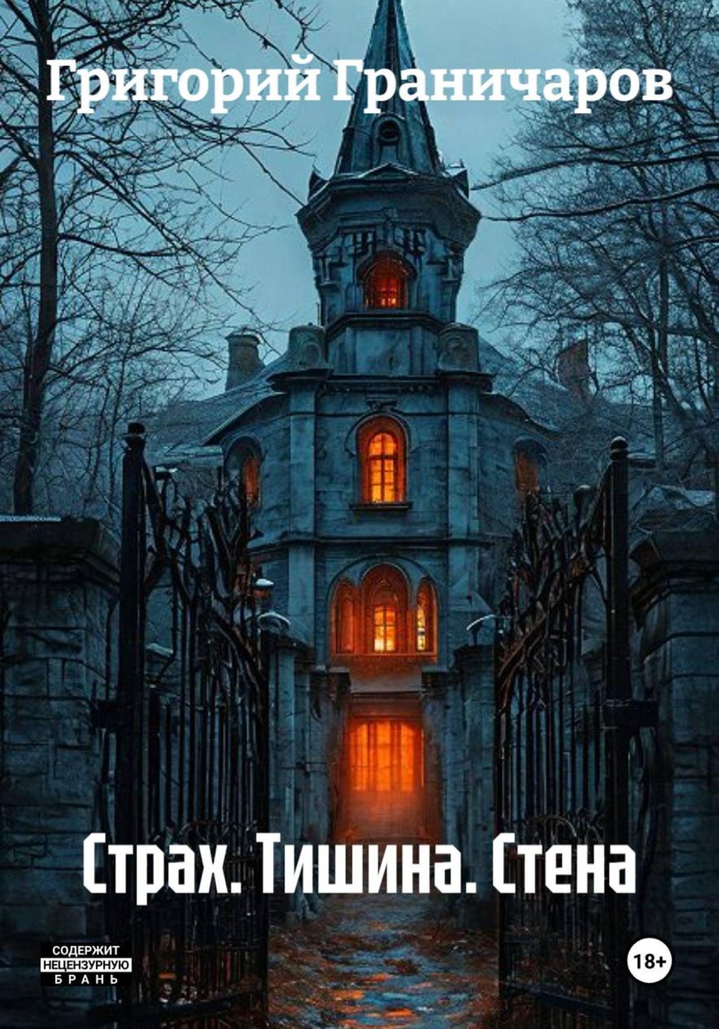 Обложка книги «Страх. Тишина. Стена»