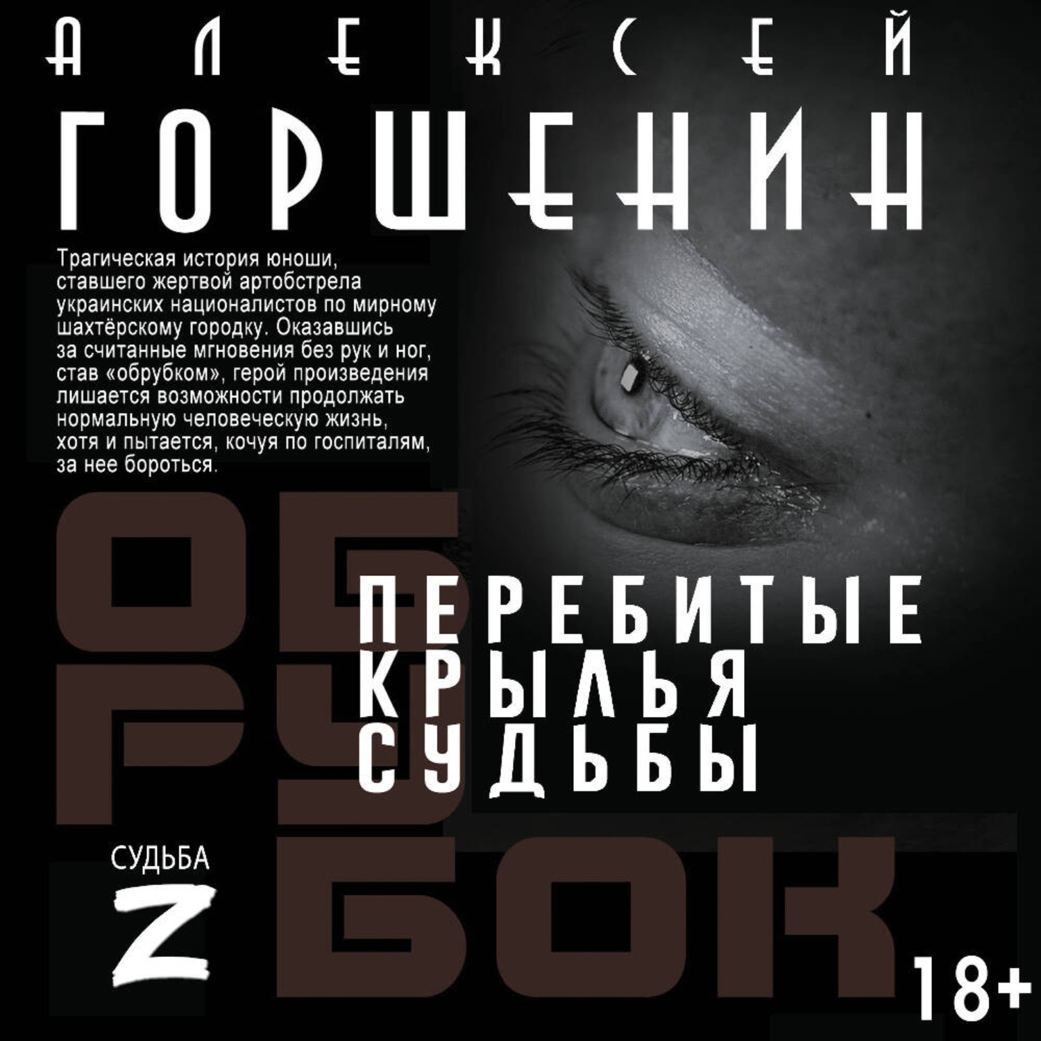 Обложка книги «Перебитые крылья судьбы»