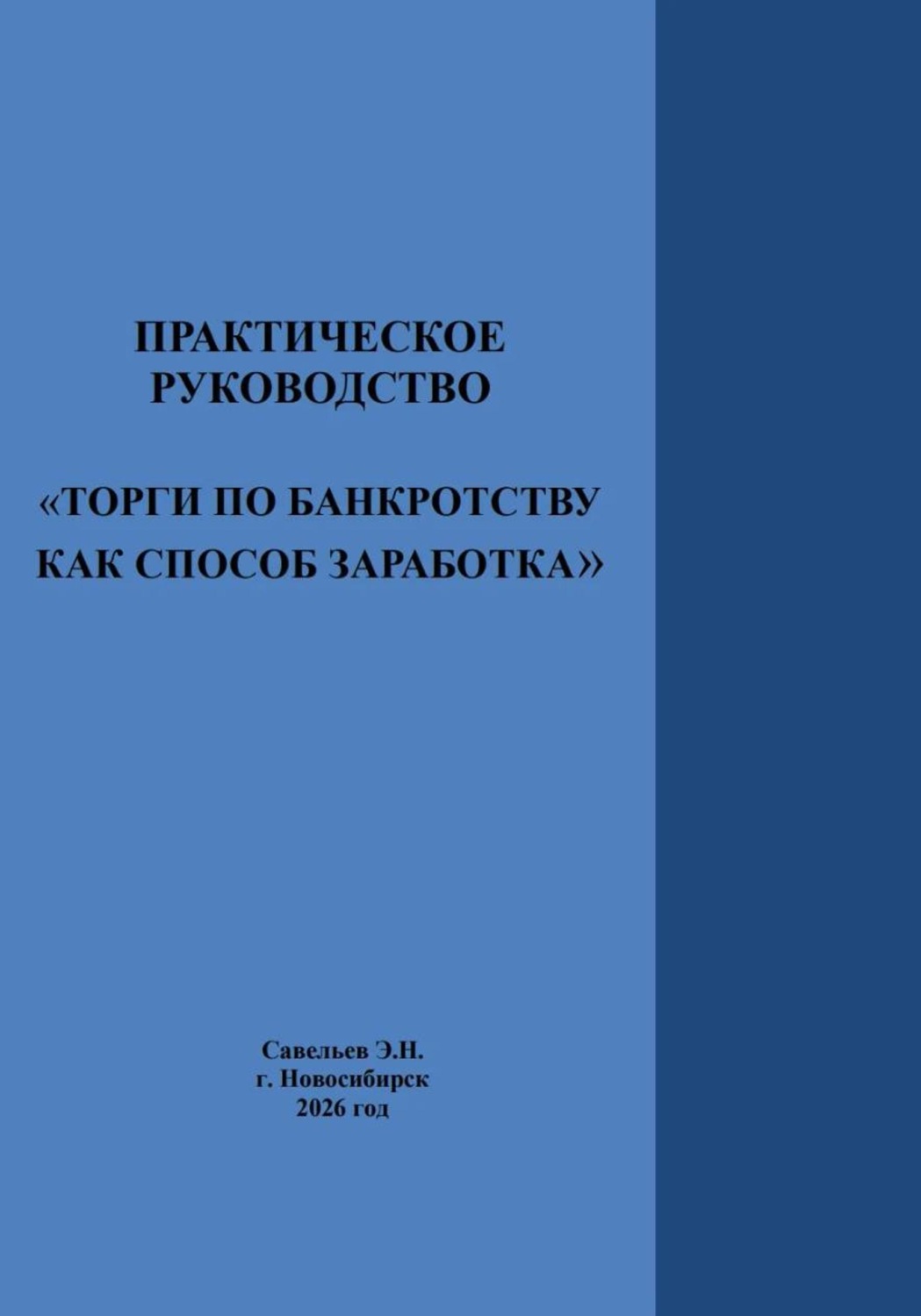 Обложка книги «Практическое руководство «Торги по банкротству как способ заработка»»