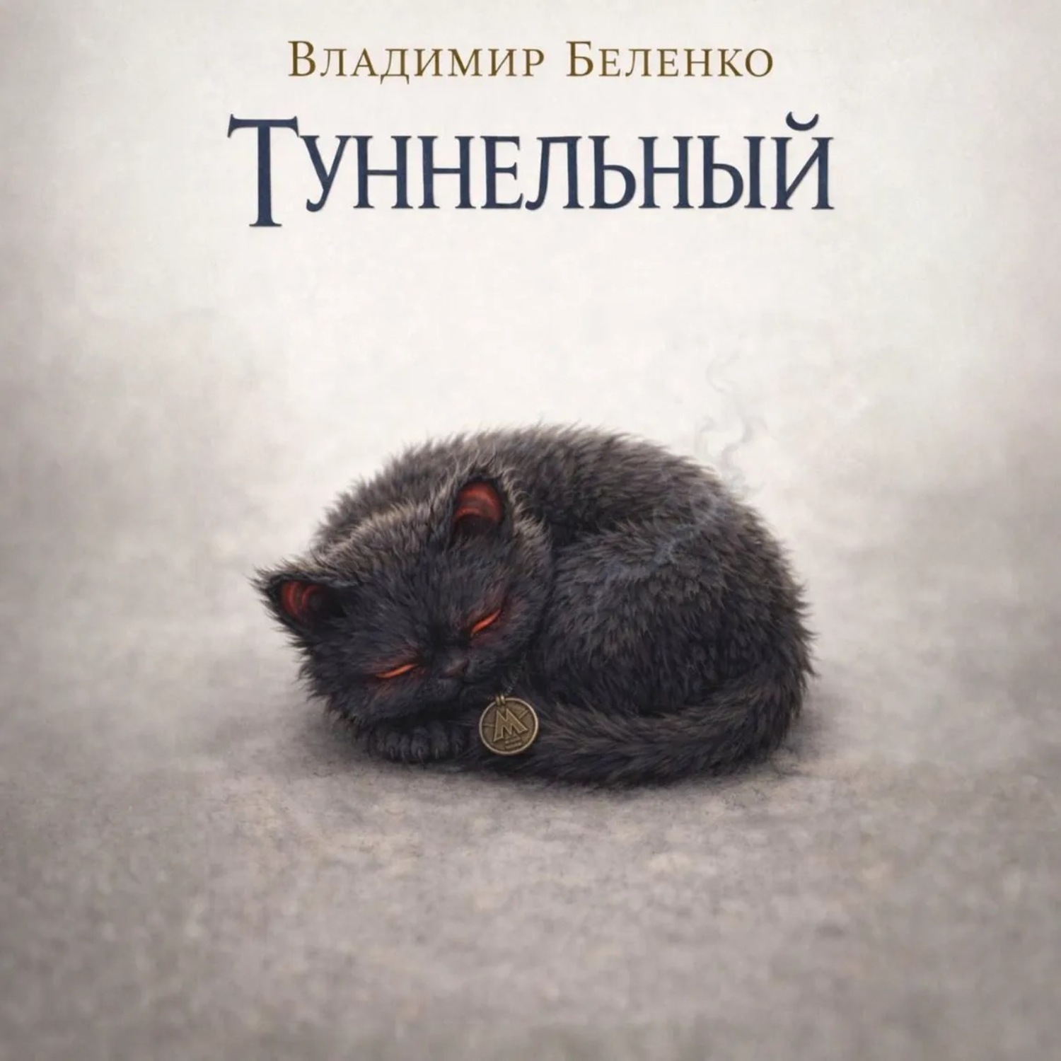 Обложка книги «Туннельный»