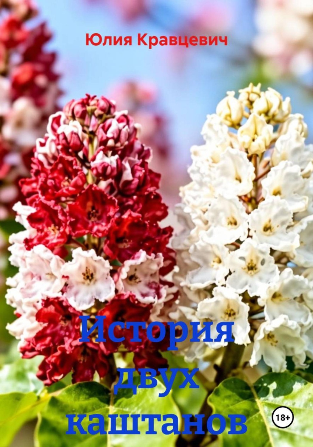 Обложка книги «История двух каштанов»