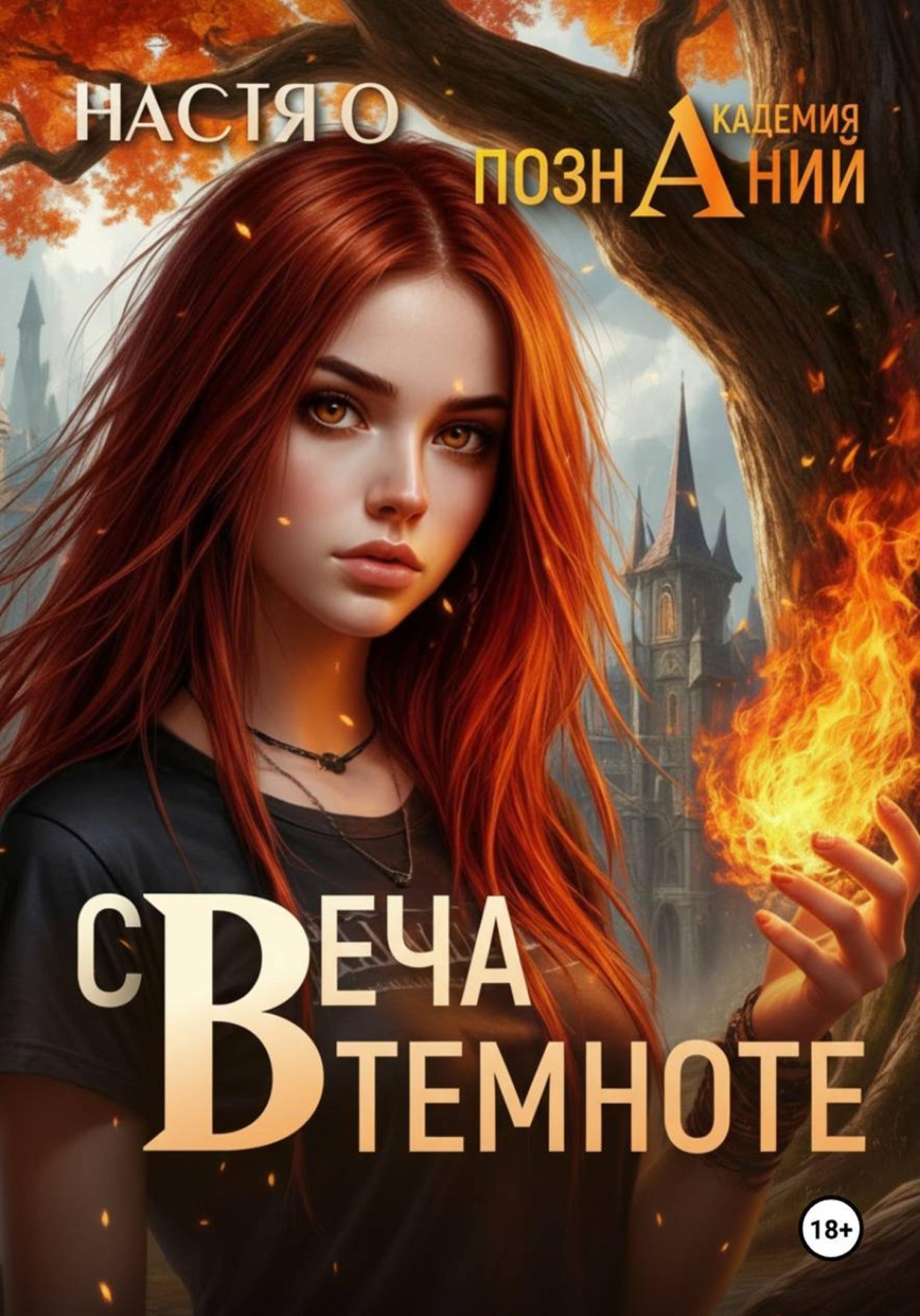 Обложка книги «Свеча в темноте (Академия Познаний - 5)»