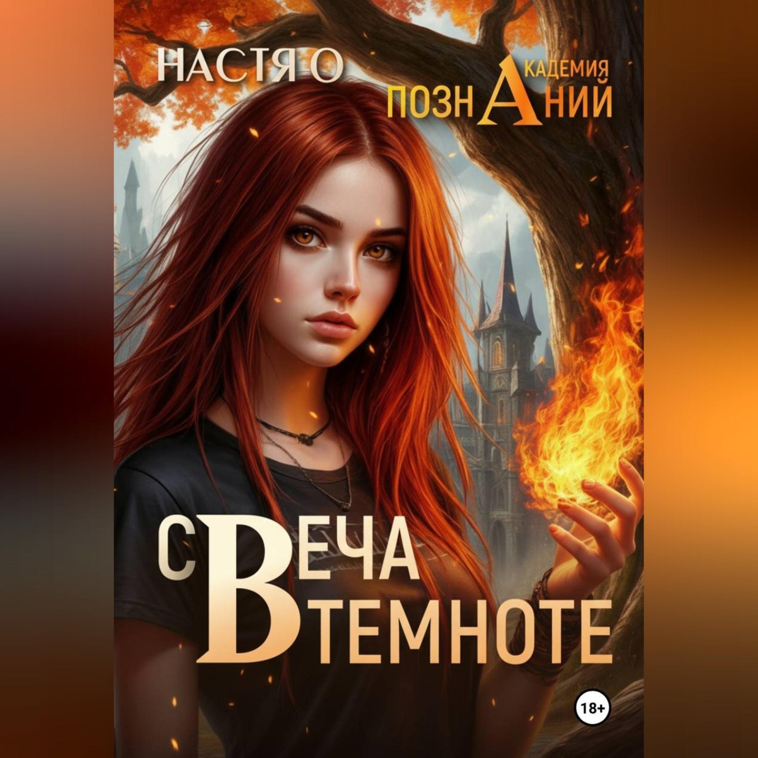 Обложка книги «Свеча в темноте (Академия Познаний – 5)»