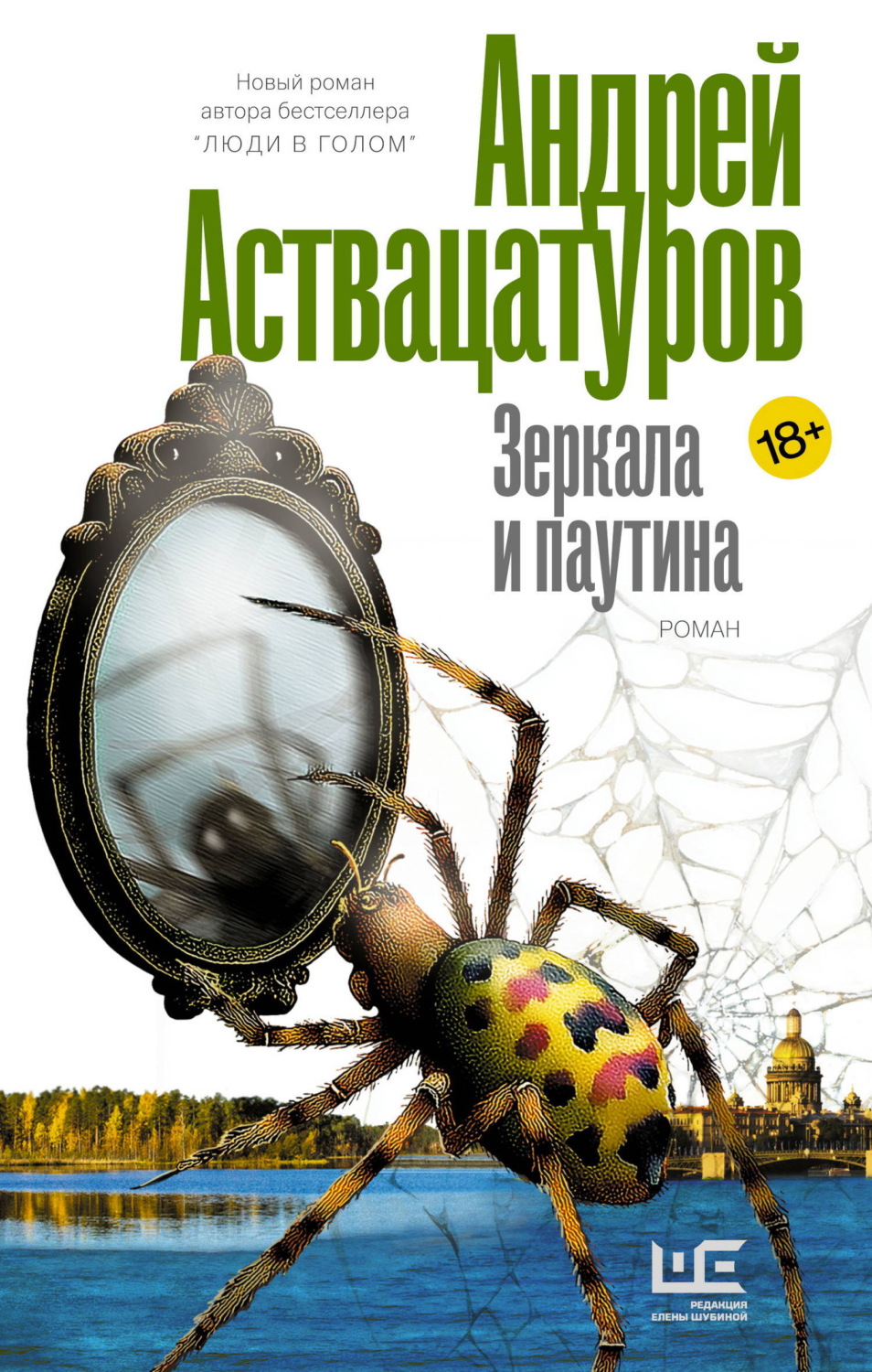 Обложка книги «Зеркала и паутина»