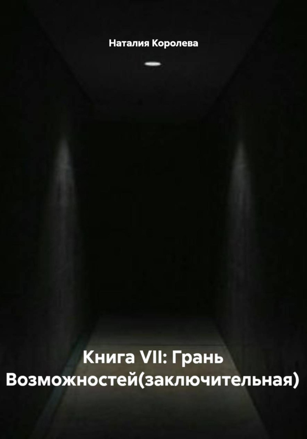 Обложка книги «Книга VII: Грань Возможностей (заключительная)»
