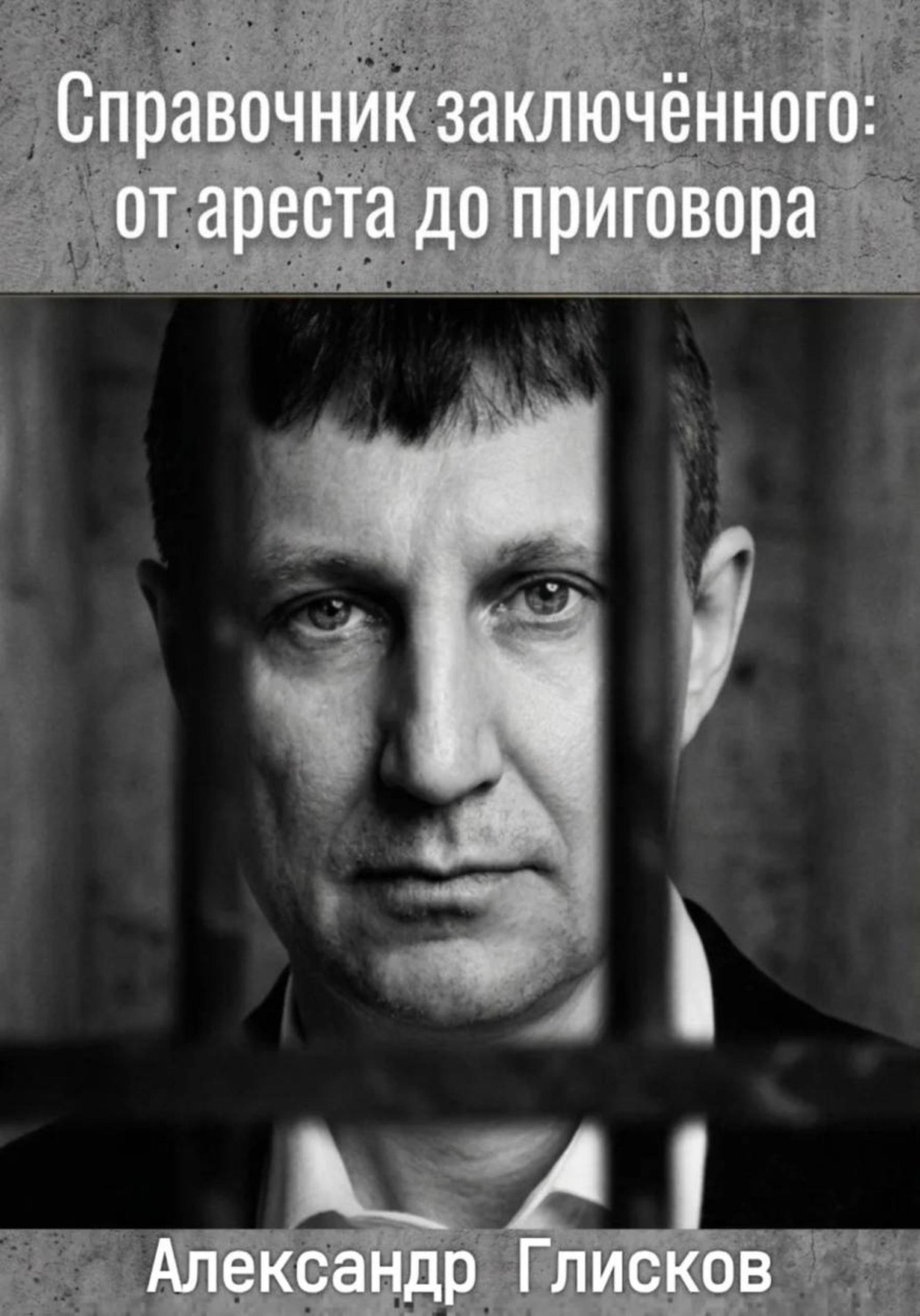 Обложка книги «Справочник заключенного: от ареста до приговора»