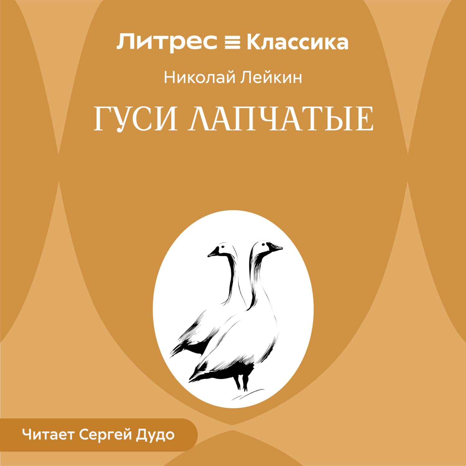 Обложка книги «Гуси лапчатые»