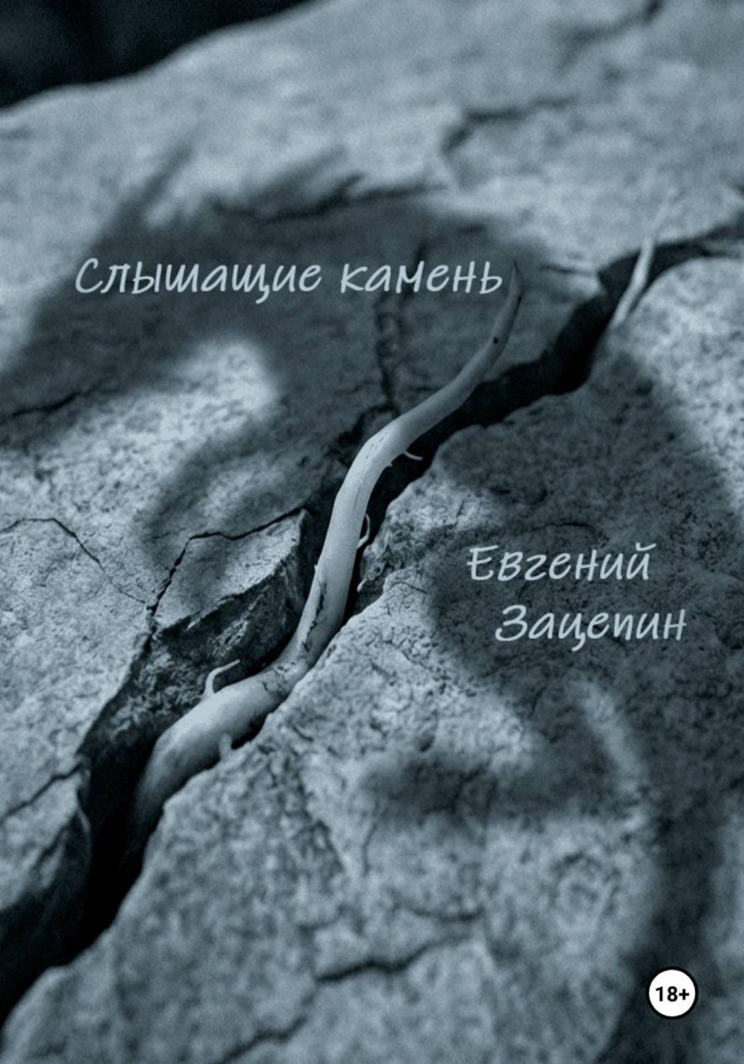 Обложка книги «Слышащие камень»