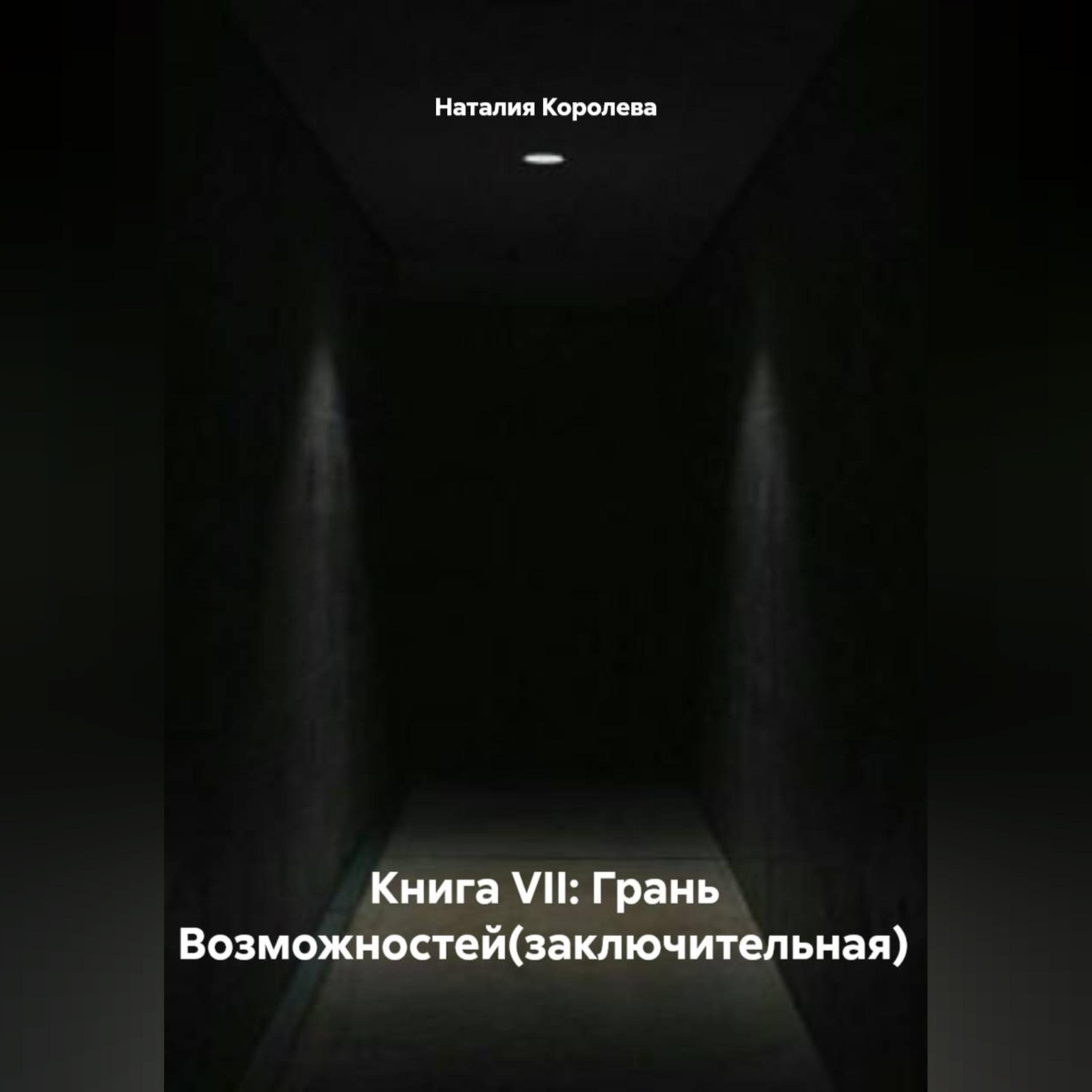 Обложка книги «Книга VII: Грань Возможностей(заключительная)»