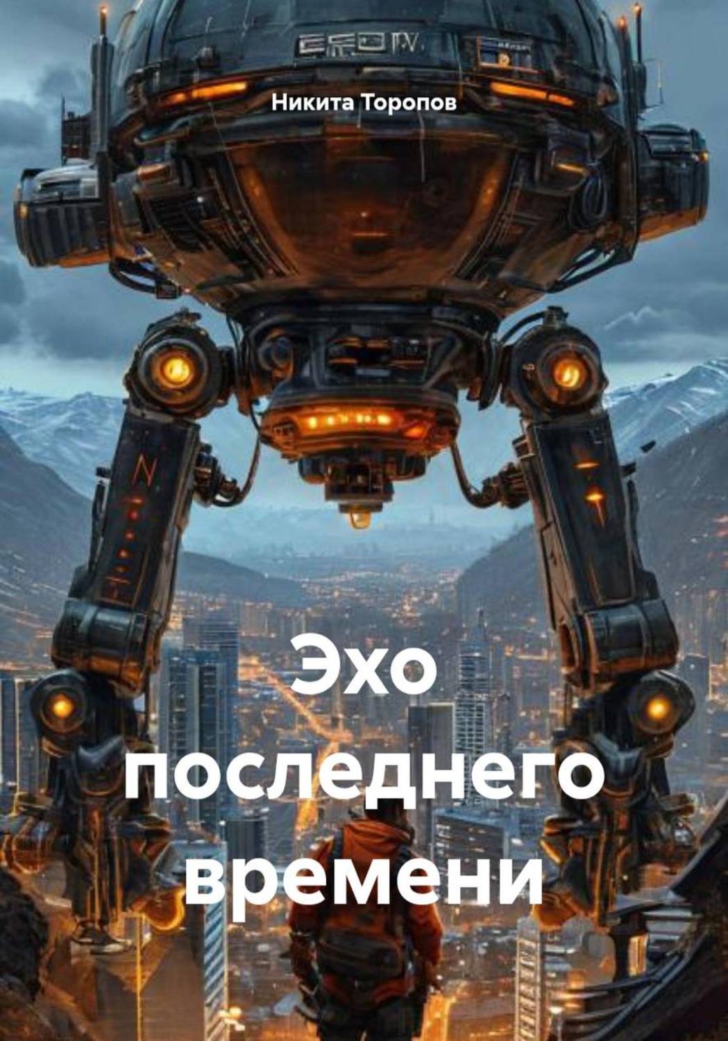 Обложка книги «Эхо последнего времени»