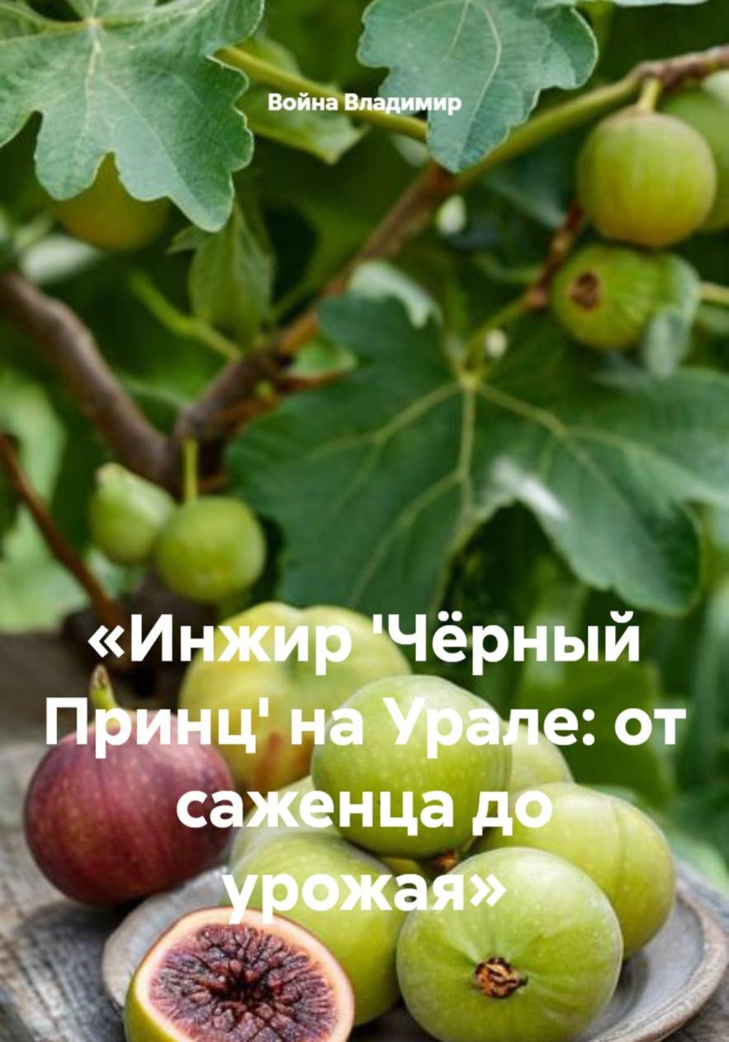Обложка книги «Инжир 'Чёрный Принц' на Урале: от саженца до урожая»