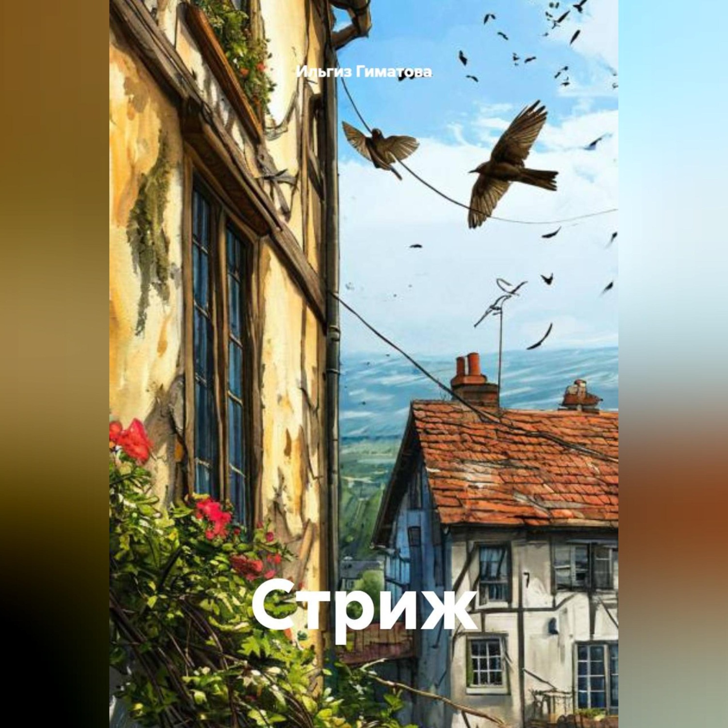 Обложка книги «Стриж»