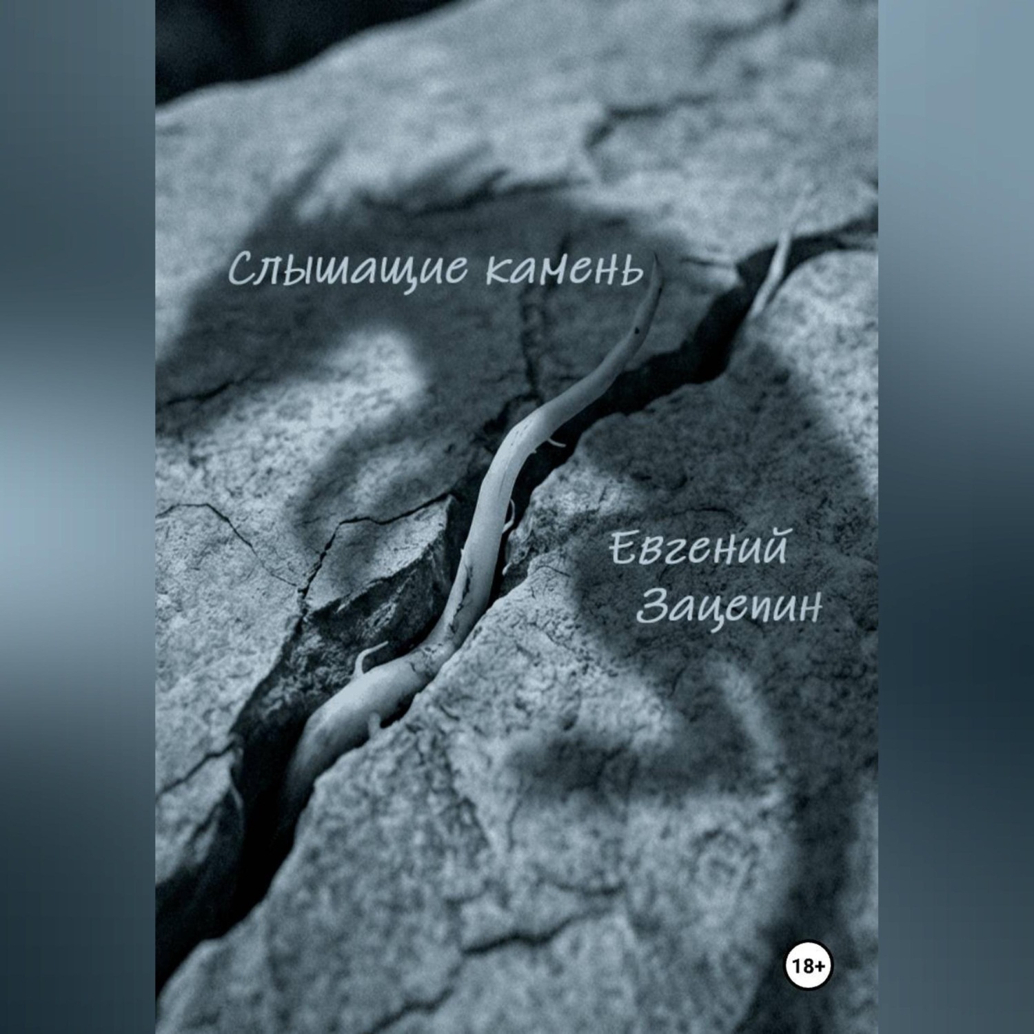Обложка книги «Слышащие камень»
