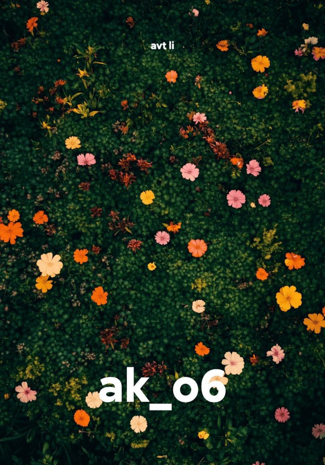 Обложка книги «ak_o6»