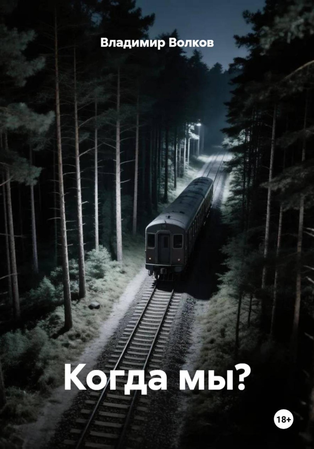 Обложка книги «Когда мы?»