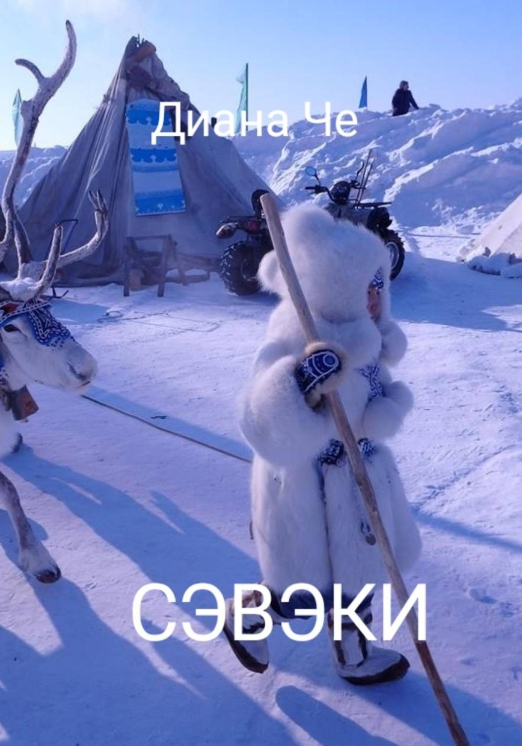 Обложка книги «Рассказы о земле Сэвэки»