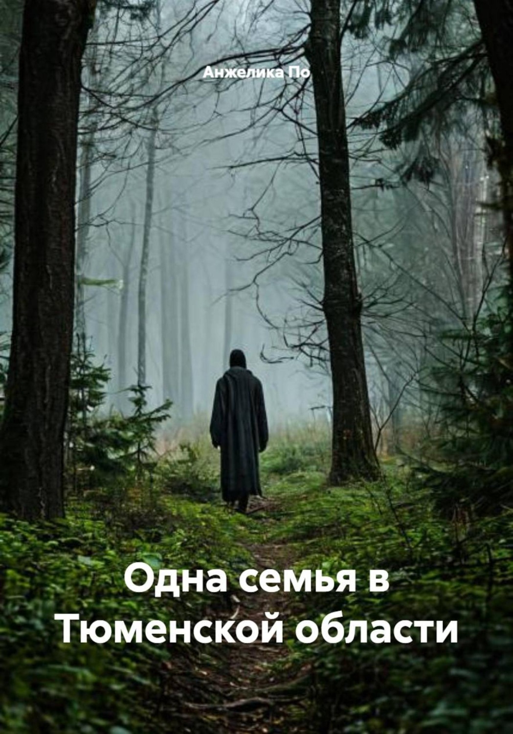 Обложка книги «Одна семья в Тюменской области»