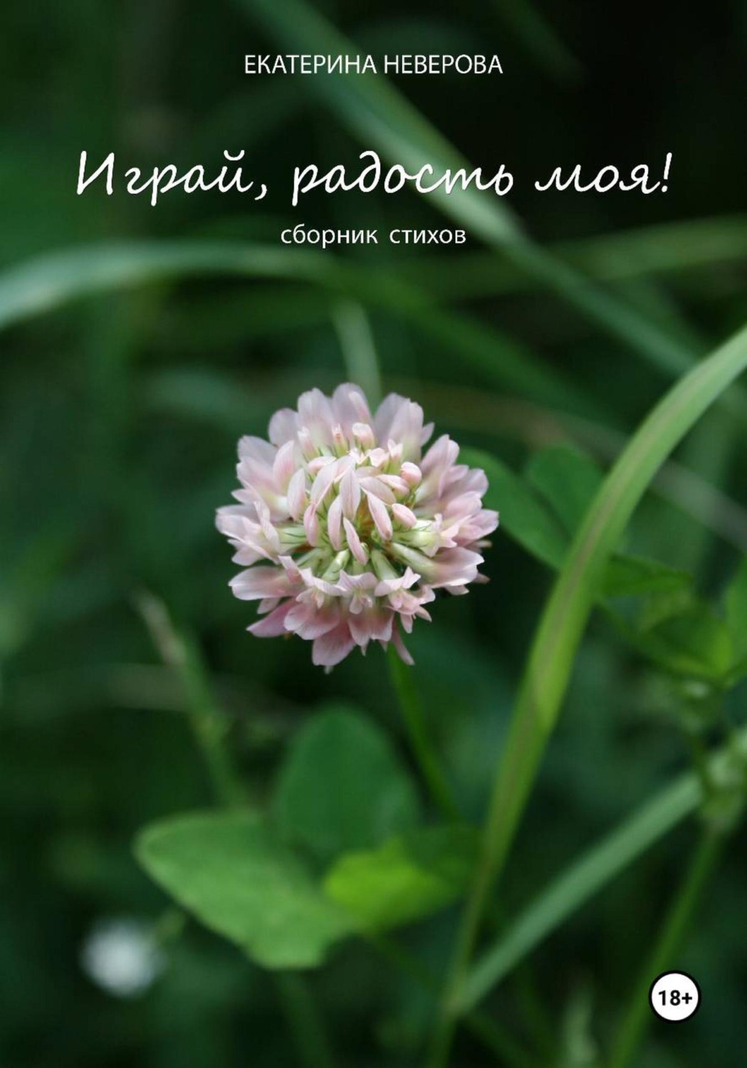 Обложка книги «Играй, Радость моя!»