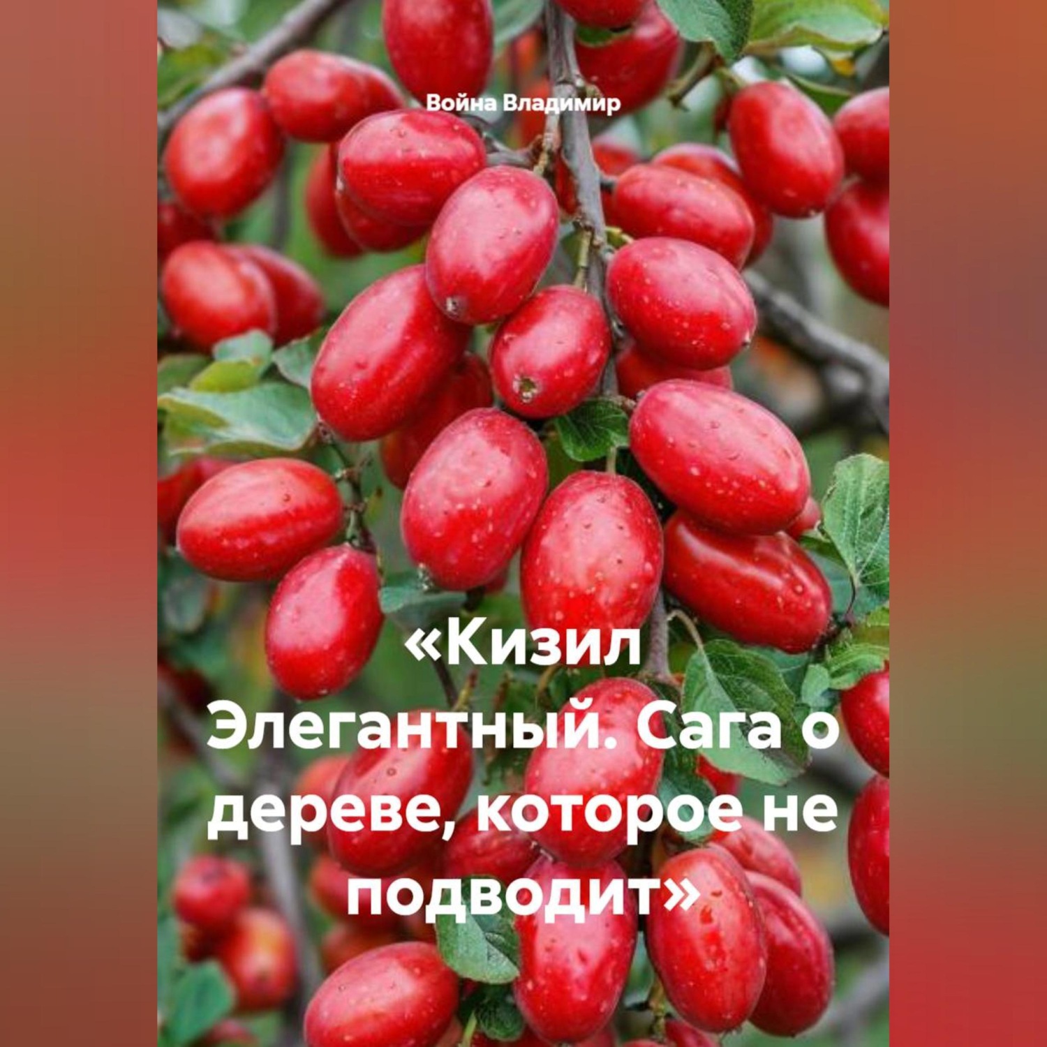 Обложка книги ««Кизил Элегантный. Сага о дереве, которое не подводит»»