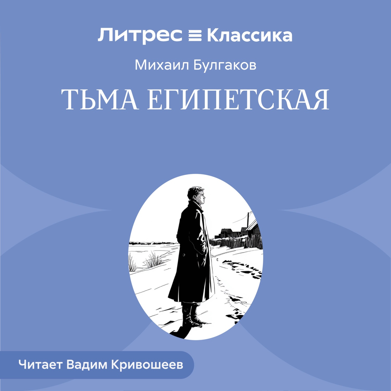 Обложка книги «Тьма египетская»