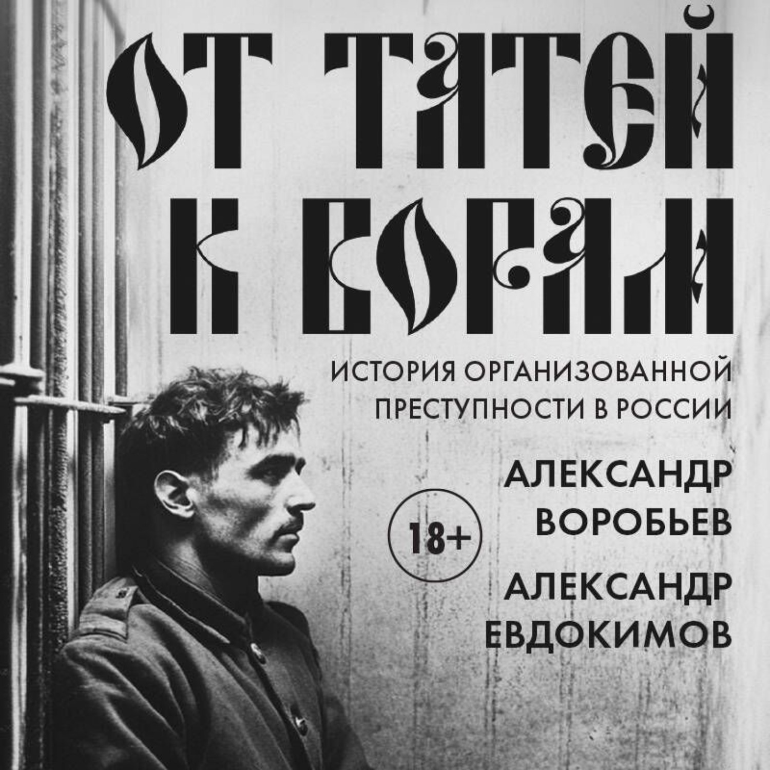 Обложка книги «От татей к ворам. История организованной преступности в России»