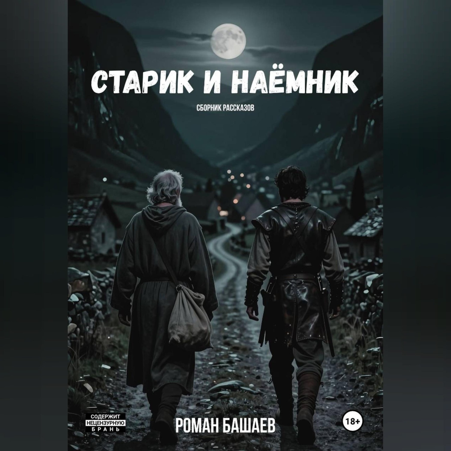 Обложка книги «Старик и Наёмник»