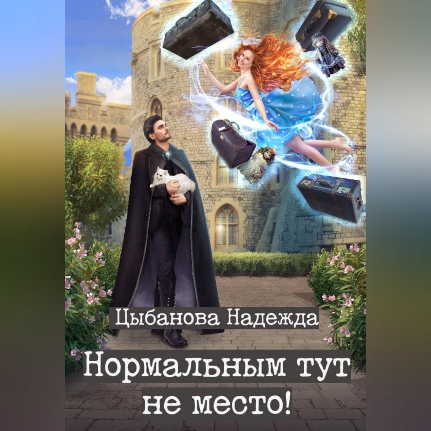 Обложка книги «Нормальным тут не место!»
