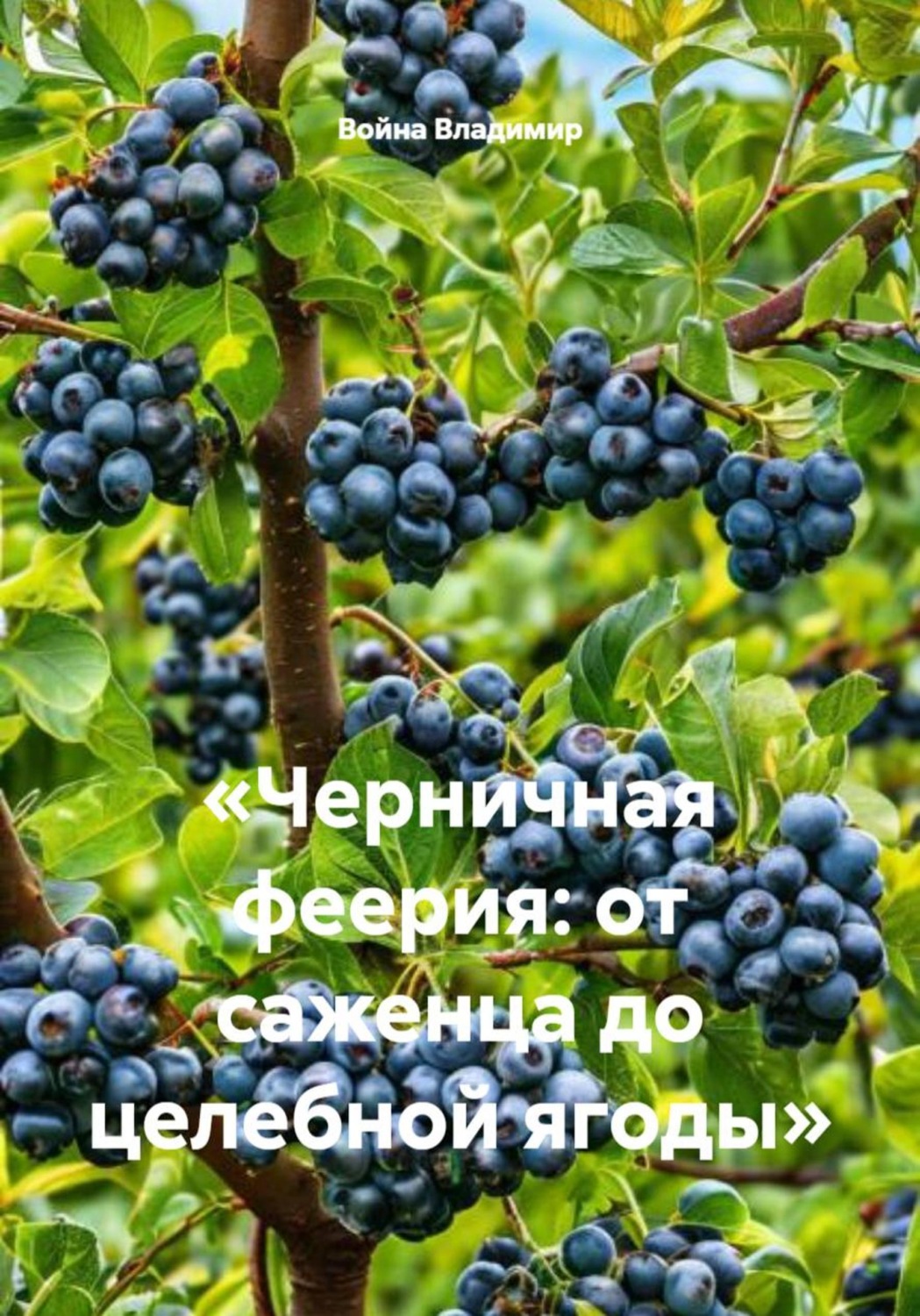 Обложка книги «Черничная феерия: от саженца до целебной ягоды»