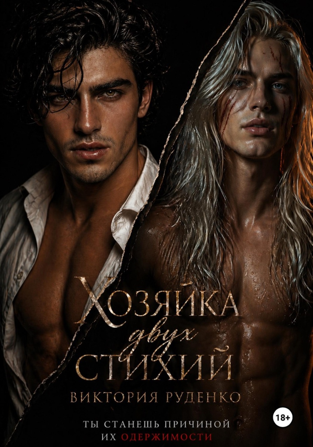 Обложка книги «Хозяйка двух стихий»