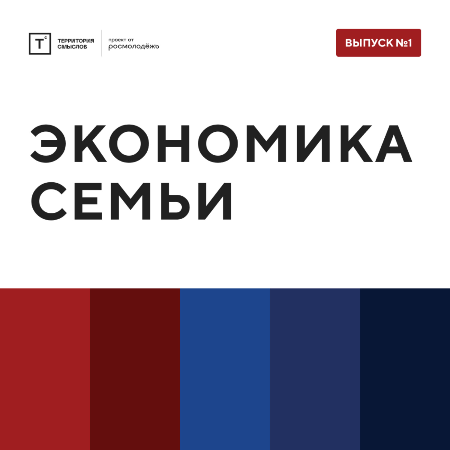 Обложка книги «ТОЛК шоу. Экономика семьи»