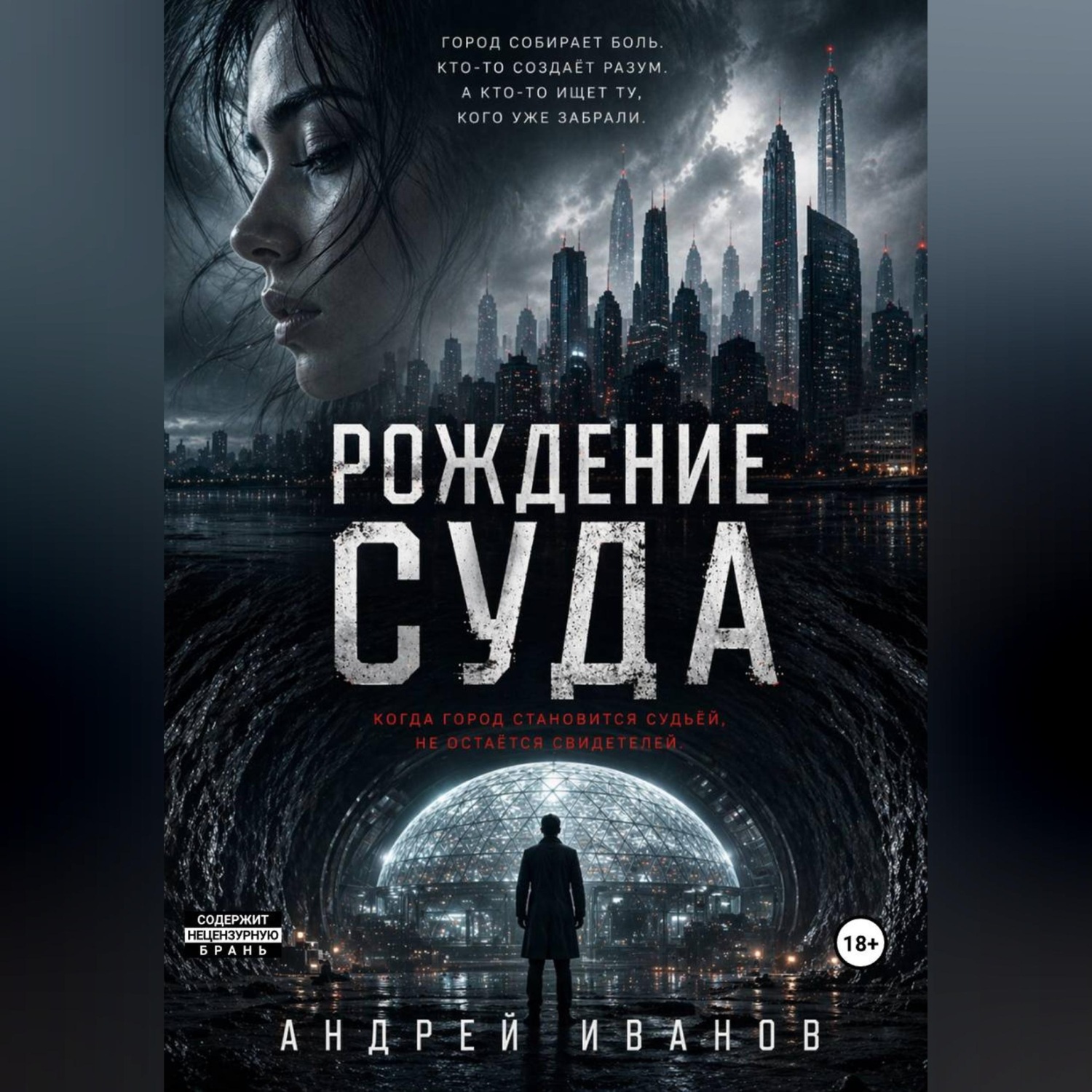 Обложка книги «Рождение суда»
