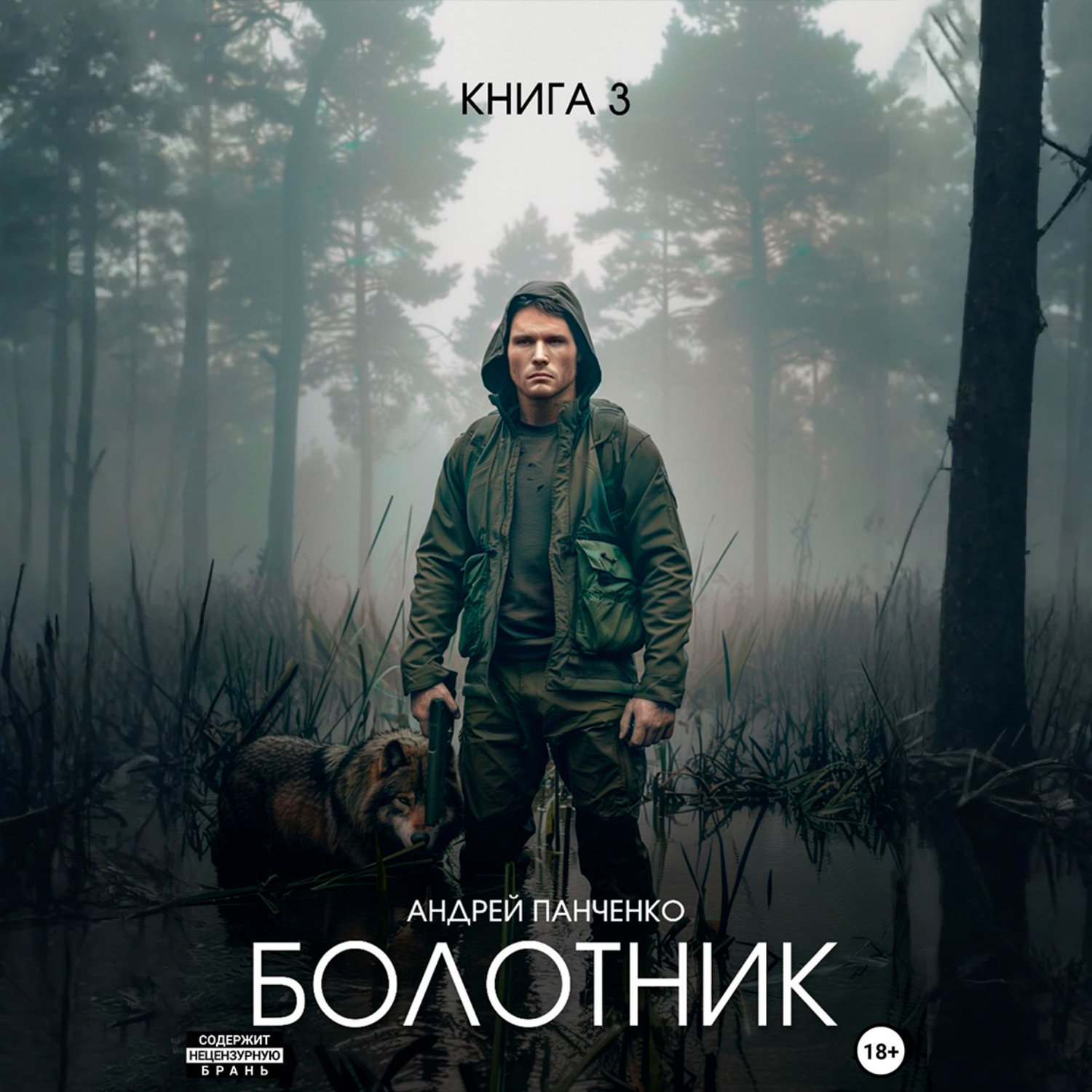 Обложка книги «Болотник. Книга 3»