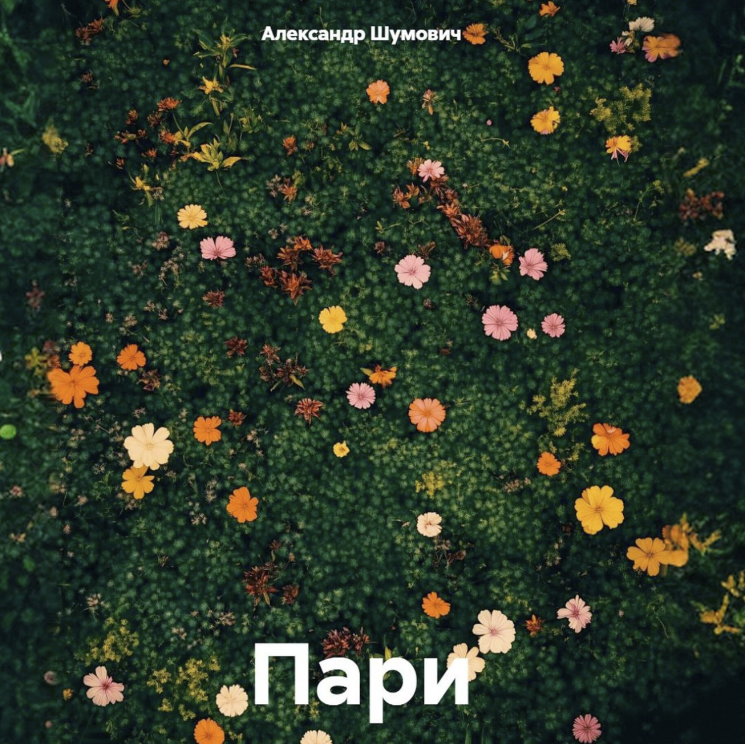 Обложка книги «Пари»