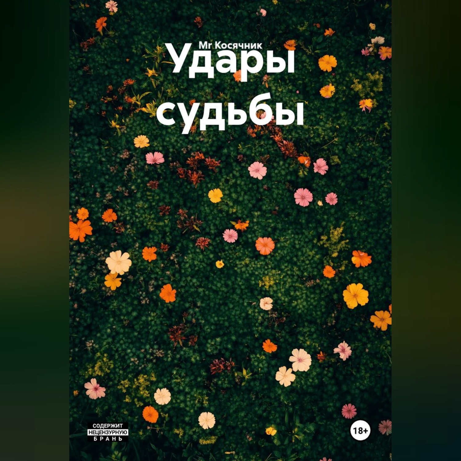 Обложка книги «Удары судьбы»