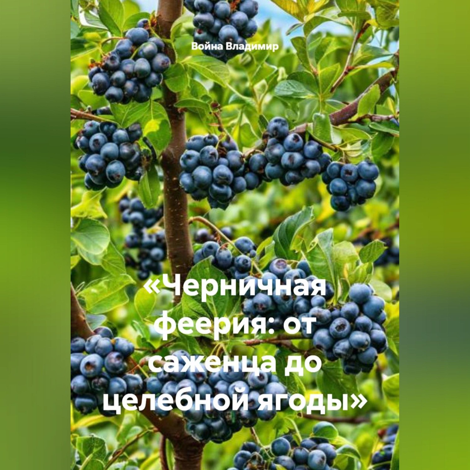 Обложка книги ««Черничная феерия: от саженца до целебной ягоды»»