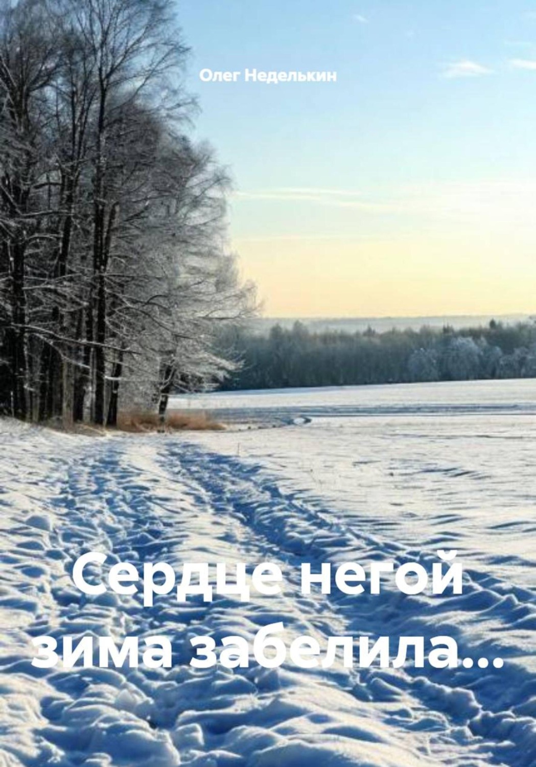 Обложка книги «Сердце негой зима забелила...»