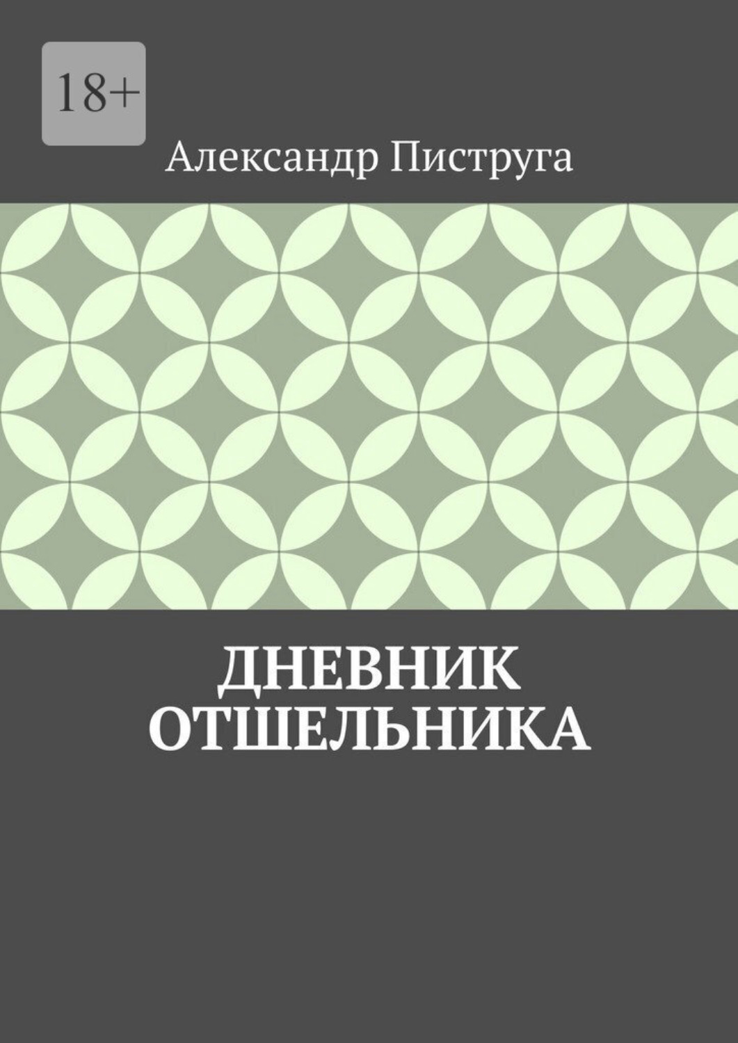 Обложка книги «Дневник отшельника»