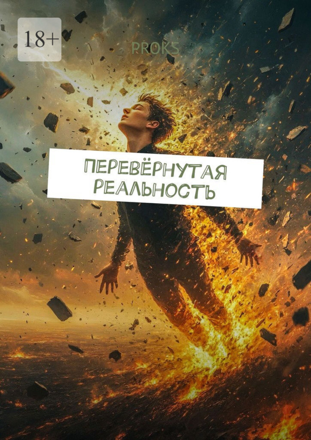Обложка книги «Перевёрнутая реальность»
