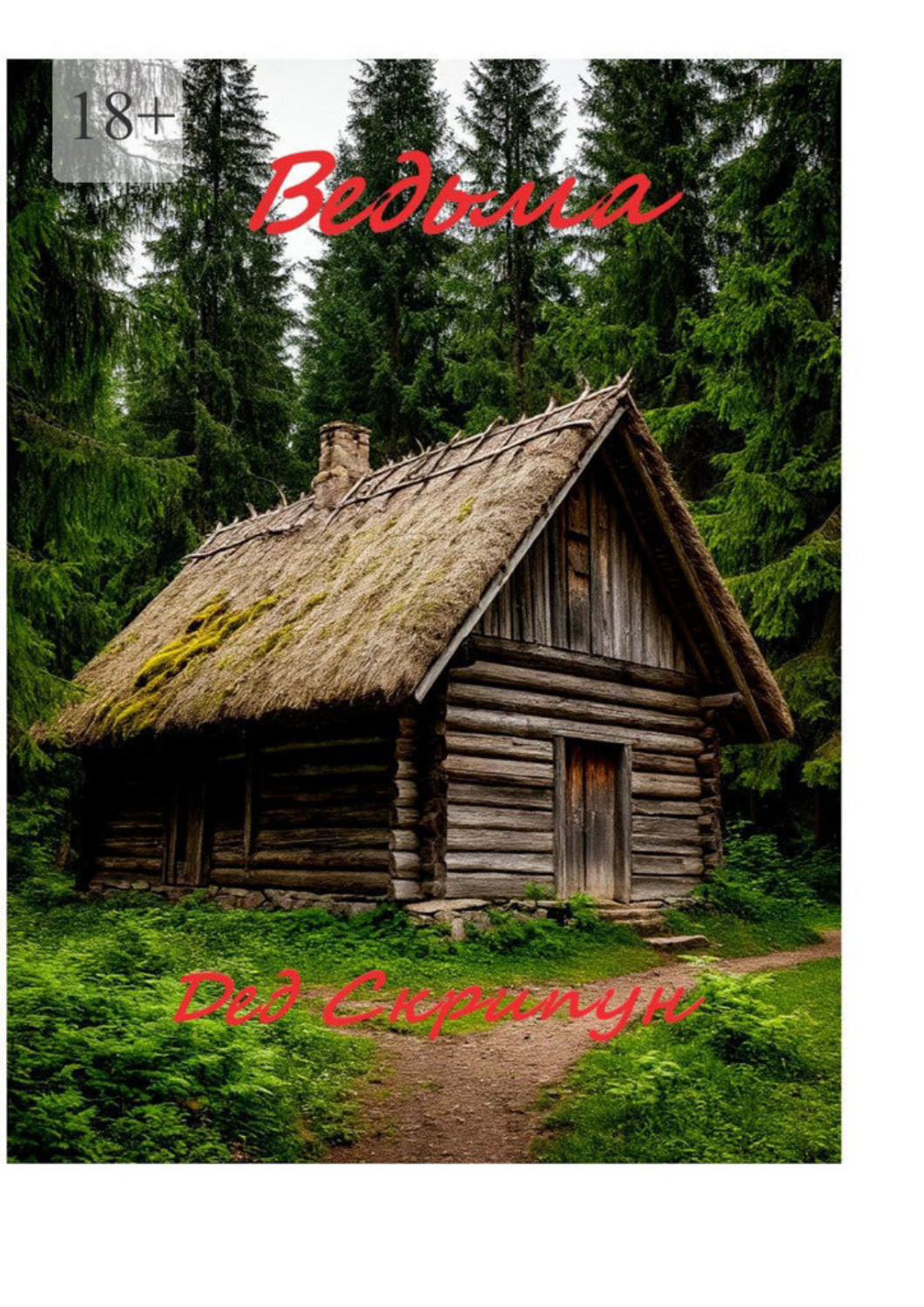 Обложка книги «Ведьма»