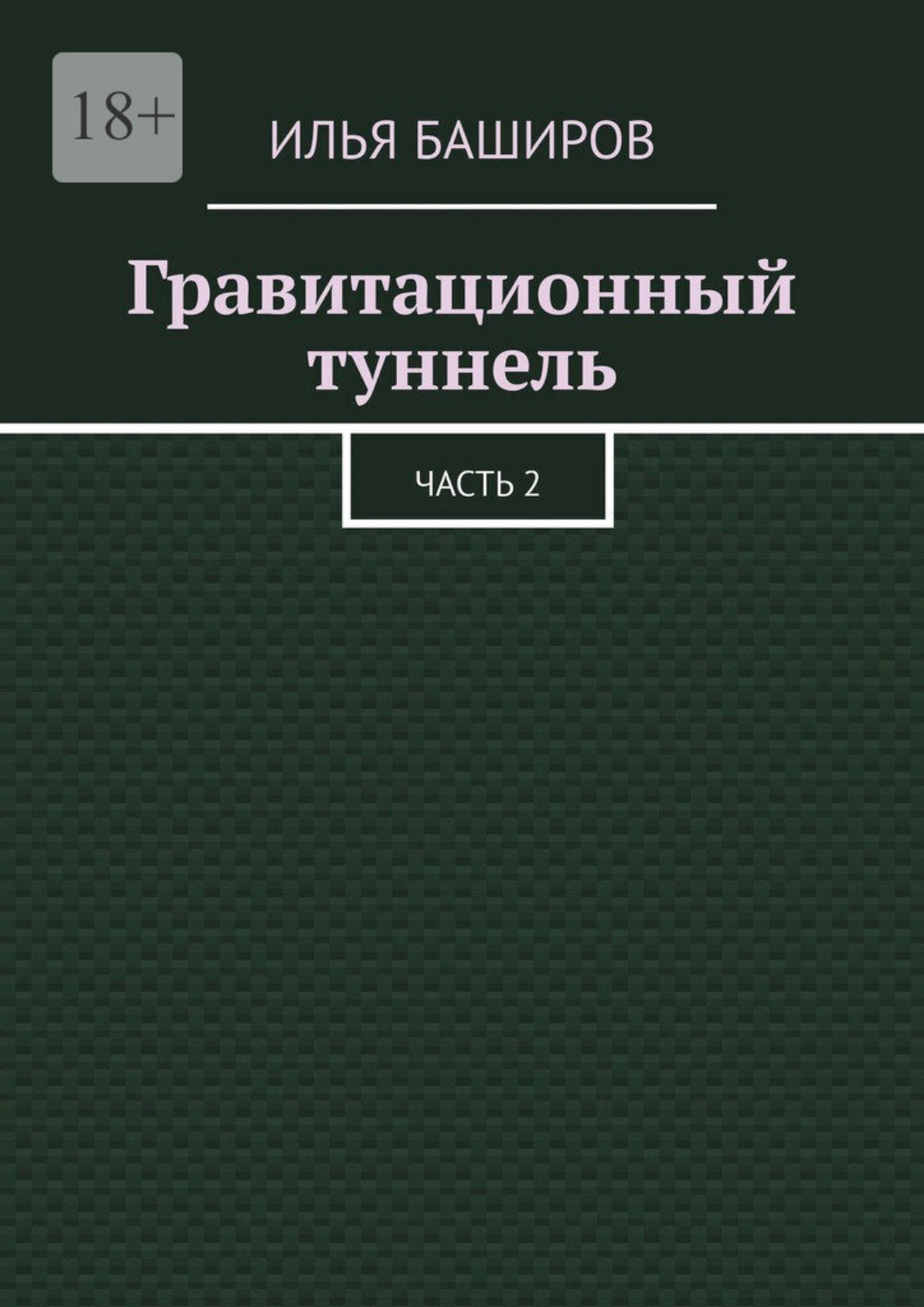 Обложка книги «Гравитационный туннель. Часть 2»