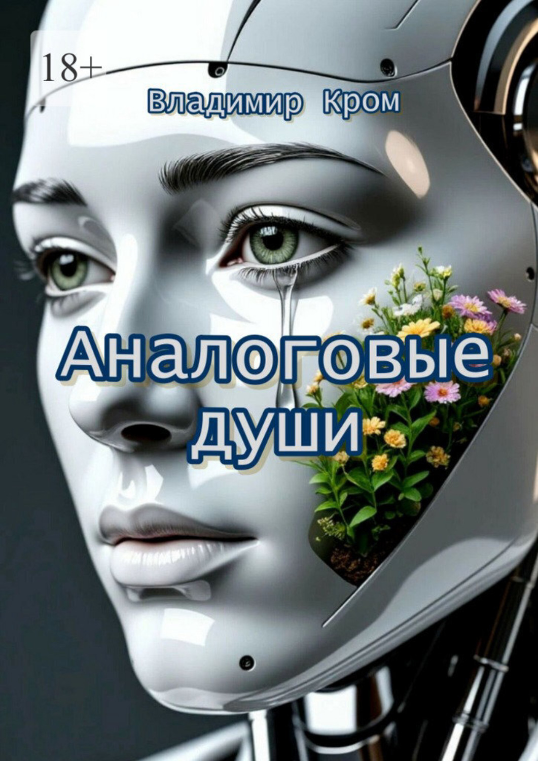 Обложка книги «Аналоговые души»