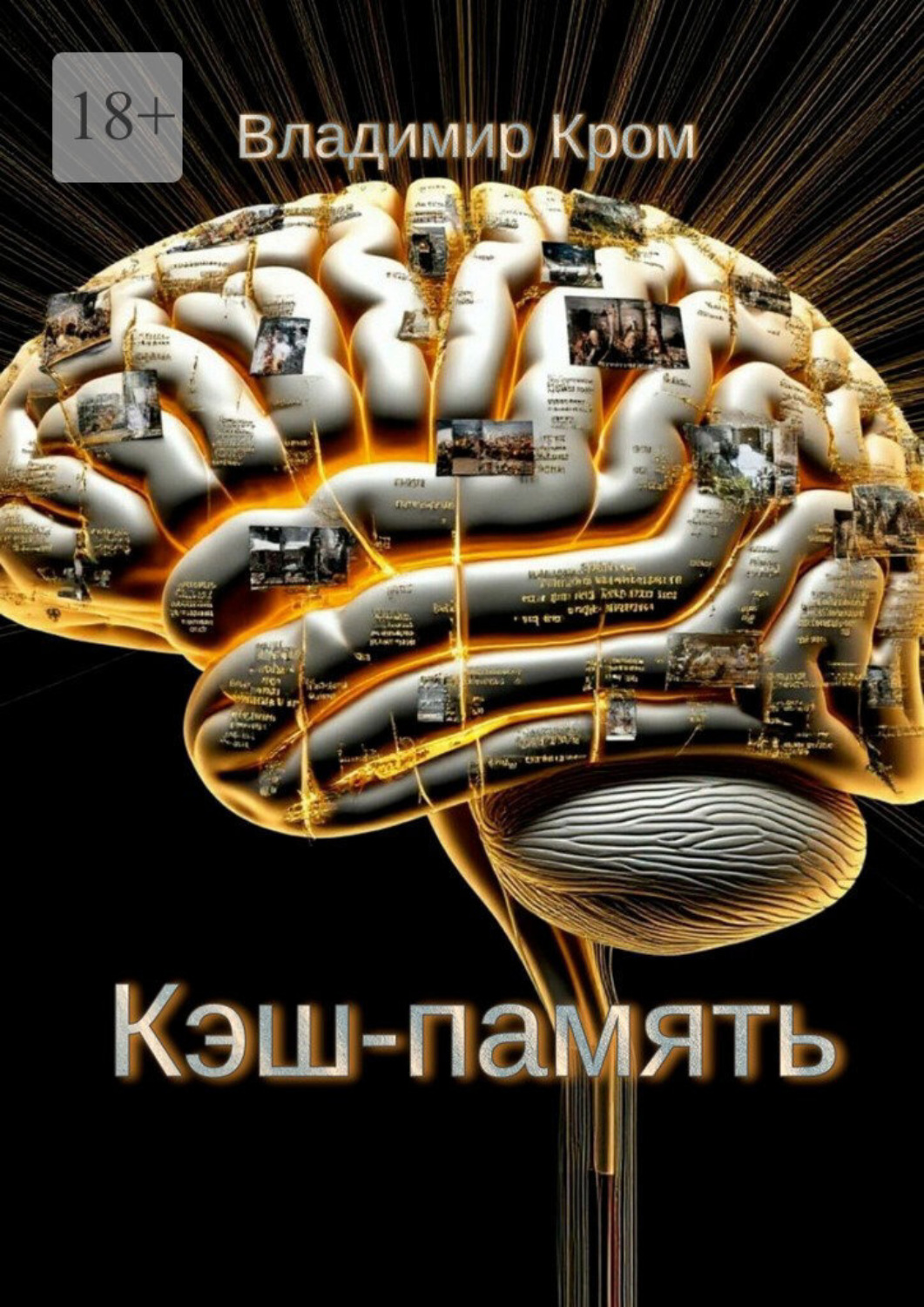 Обложка книги «Кэш-память»