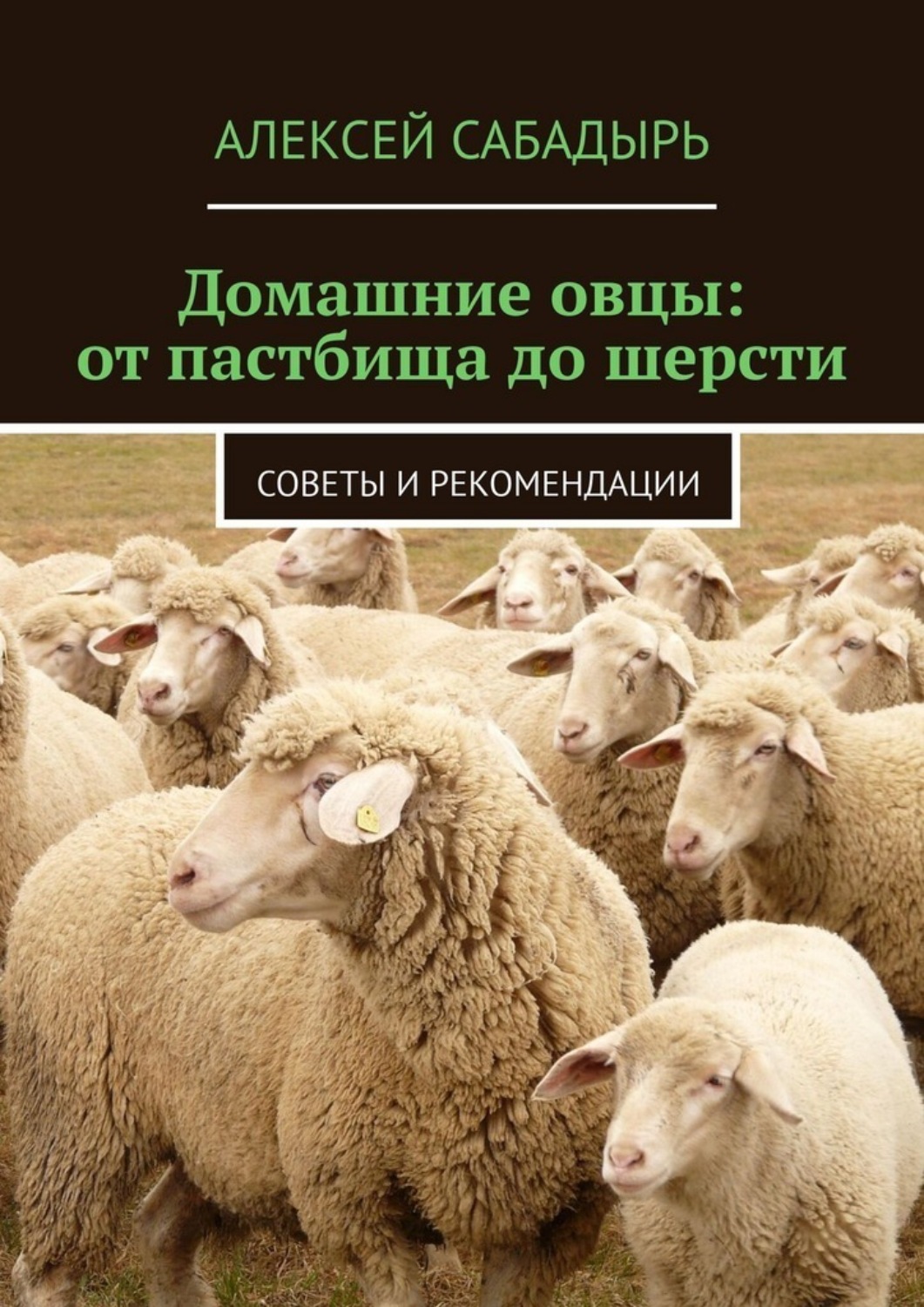 Обложка книги «Домашние овцы: от пастбища до шерсти. Советы и рекомендации»