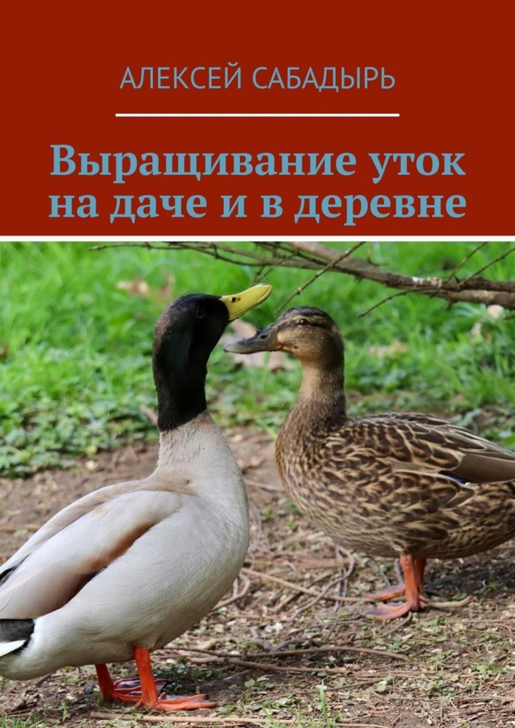 Обложка книги «Выращивание уток на даче и в деревне»