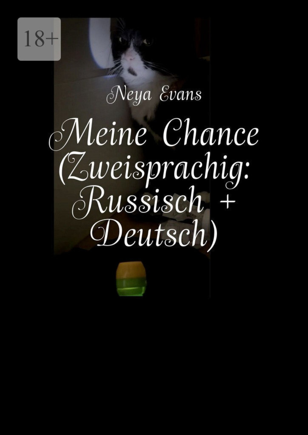 Обложка книги «Meine Chance (Zweisprachig: Deutsch + Russisch). Oder Das lustigste Buch darüber, wie man das Glück nicht verpasst»