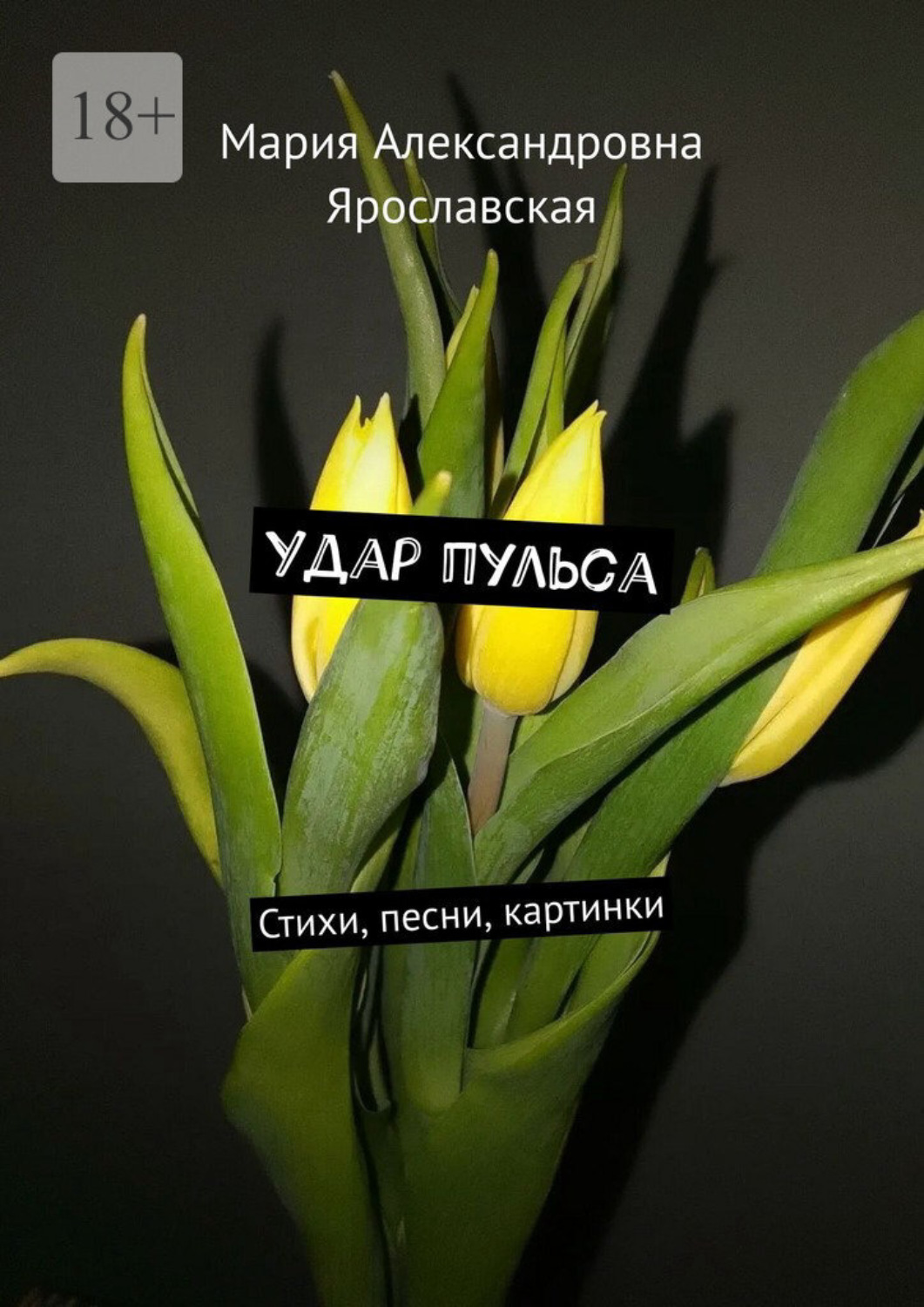 Обложка книги «Удар пульса. Стихи, песни, картинки»