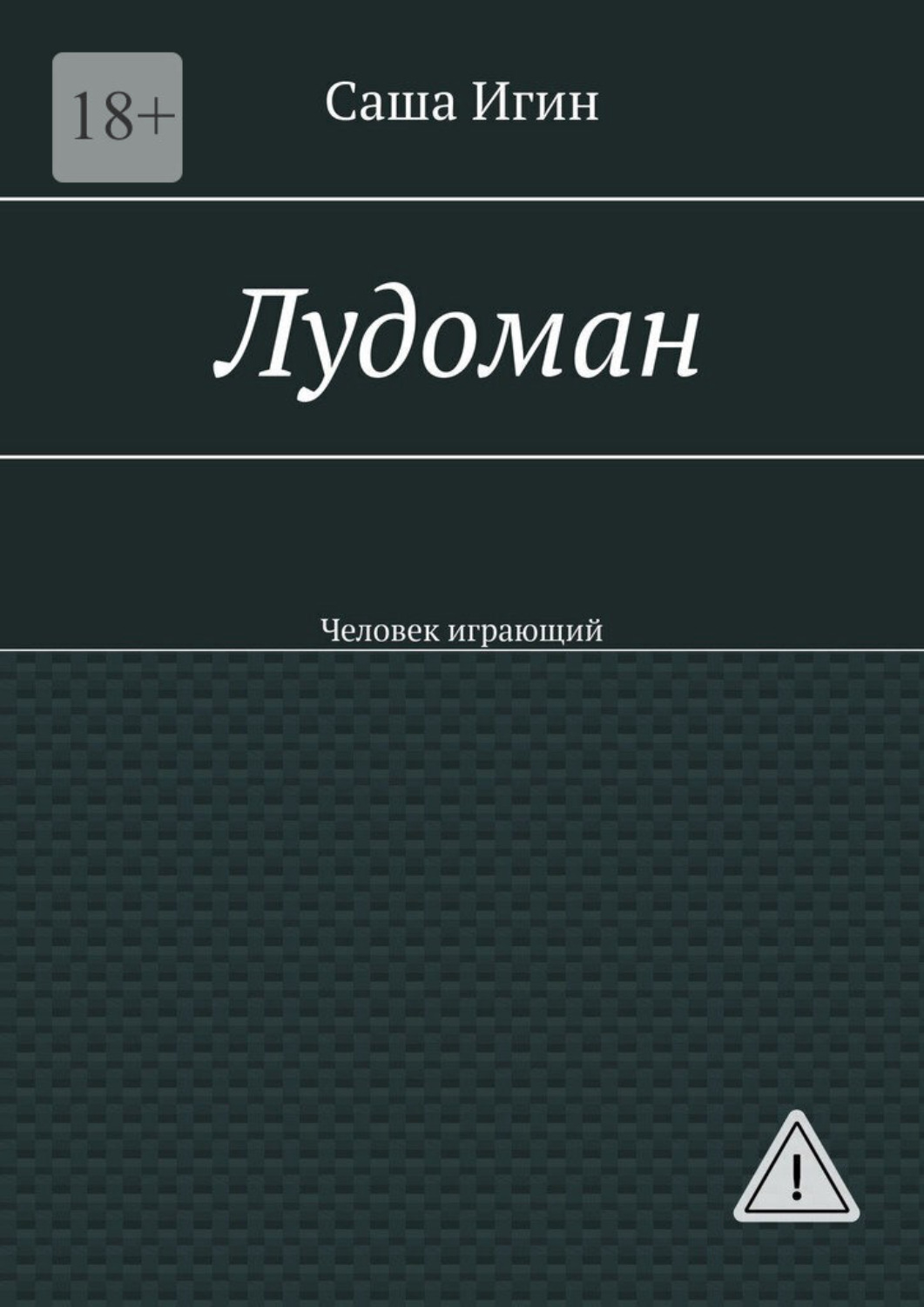 Обложка книги «Лудоман. Человек играющий»