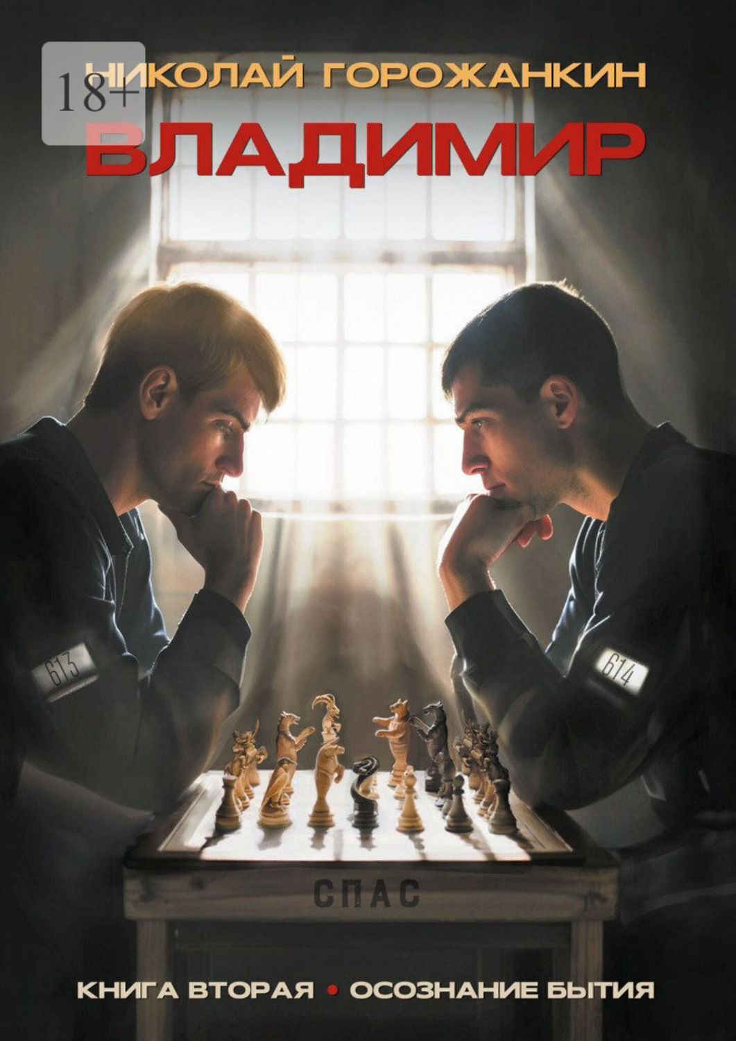 Обложка книги «Владимир. Книга вторая. Осознание бытия»